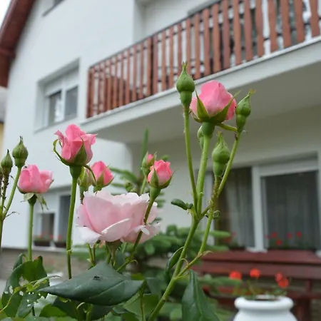 Varga *